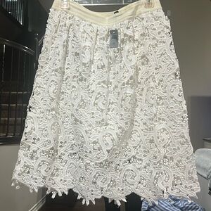 NWT Ann Taylor skirt (8)P